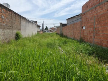 Terreno - Venda - Pedra de Amolar - Ilhota - SC